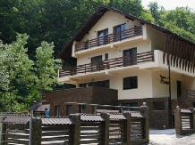 Pensiunea Iasmina - cazare Valea Oltului (01)