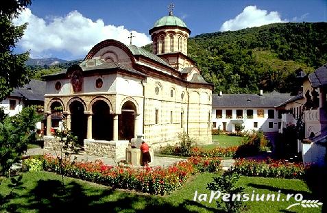 Pensiunea Iasmina - alloggio in Valea Oltului (Attività e i dintorni) Pensiunea Iasmina - alloggio in Valea Oltului (Attività e i dintorni)