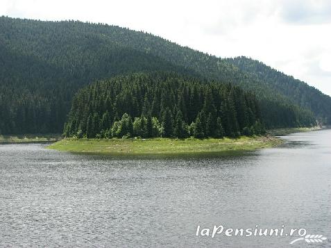 Cabana Ioana Balas - accommodation in  Apuseni Mountains, Belis (Surrounding)