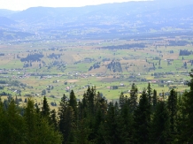 Coliba unchiului George - alloggio in  Vatra Dornei, Bucovina (05)