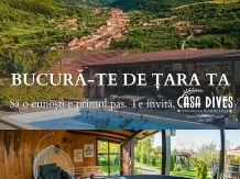 Casa Dives - Varianta Boiereasca din 1850 - alloggio in  Apuseni, Transalpina (20)