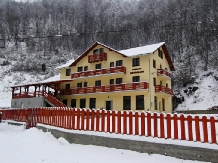 Pensiunea Georgiana - accommodation in  Apuseni Mountains (01)