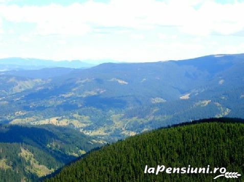Pensiunea Georgiana - accommodation in Apuseni Mountains (Surrounding) Pensiunea Georgiana - accommodation in Apuseni Mountains (Surrounding)