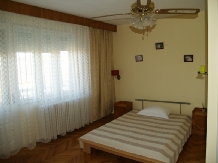 Casa cu flori - accommodation in  Hateg Country (12)