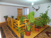 Pensiunea Paradiso - accommodation in  Moldova (05)