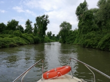 Pensiunea Ovidiu - alloggio in  Delta del Danubio (17)