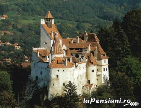 Vila Alina - cazare Rucar - Bran, Moeciu, Bran (Activitati si imprejurimi) Vila Alina - cazare Rucar - Bran, Moeciu, Bran (Activitati si imprejurimi)