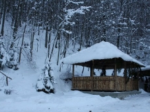 Cabana Doina - accommodation in  Muntenia (05)