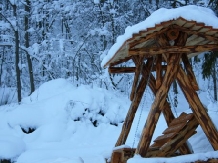 Cabana Doina - cazare Muntenia (06)