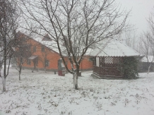 Casa de Vacanta Ellen - alloggio in  Valle di Prahova (22)