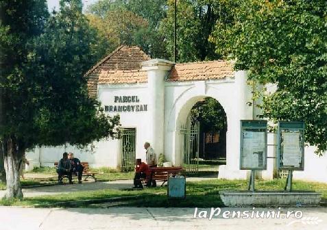 Casa de Vacanta Ellen - cazare Valea Prahovei (Activitati si imprejurimi)