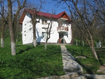 Vila Iris - accommodation in  Muntenia (01)