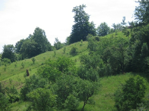 Vila Iris - alloggio in  Muntenia (Attivit&agrave; e i dintorni)