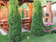 Pensiunea Agroturistica Renata - accommodation in  Apuseni Mountains (26)