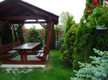 Pensiunea Agroturistica Renata - accommodation in  Apuseni Mountains (28)