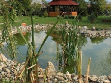 Casa de oaspeti Zarug - accommodation in  Harghita Covasna (16)