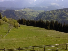 Pensiunea Riana - accommodation in  Rucar - Bran, Moeciu (39)