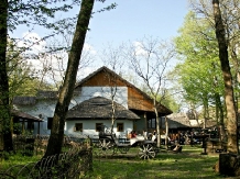 Rural accommodation at  Complex Doi Haiduci