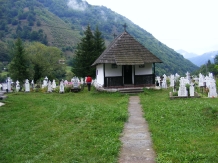 Pensiunea Poiana Soarelui - cazare Valea Oltului, Voineasa, Transalpina (20)