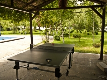 Genius Delta Resort - cazare Delta Dunarii (10)