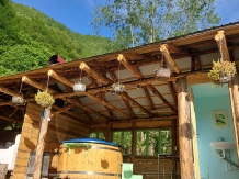 Pensiunea Lazar - accommodation in  Olt Valley, Voineasa, Transalpina (02)
