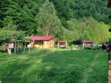Pensiunea Lazar - accommodation in  Olt Valley, Voineasa, Transalpina (06)