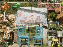 Pensiunea Lazar - cazare Valea Oltului, Voineasa, Transalpina (10)