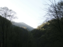 Pensiunea Lazar - alloggio in  Valea Oltului, Voineasa, Transalpina (13)