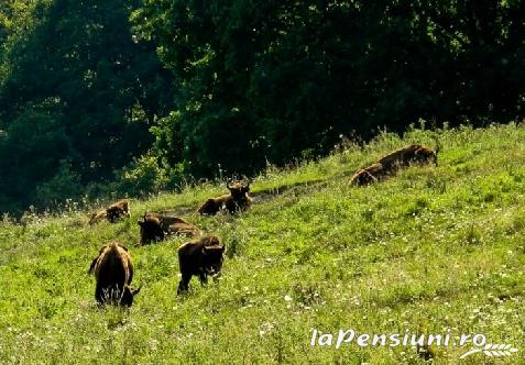 Casa Romaneasca - accommodation in  Hateg Country (Surrounding)