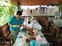 Casa Verde - accommodation in  Republica Moldova (07)