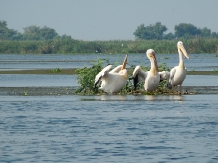 Hotel Plutitor Delta Ways - accommodation in  Danube Delta (05)
