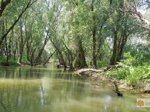 Hotel Plutitor Delta Ways - accommodation in  Danube Delta (12)