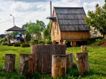 Rural accommodation at  Pensiunea Turnul Alb