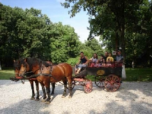 Pibunni Garboavele - alloggio in  Moldova (20)