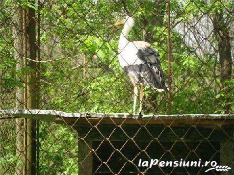 Pibunni Garboavele - cazare Moldova (Activitati si imprejurimi)