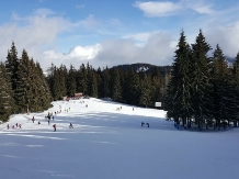 Pensiunea Skiland - cazare Apuseni (43)