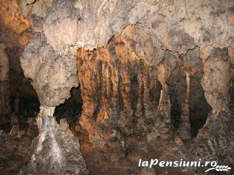 Vila Simona - alloggio in  Nord Oltenia (Attivit&agrave; e i dintorni)