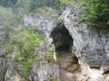 Cabana Suvenirurilor - accommodation in  Apuseni Mountains, Motilor Country, Arieseni (21)