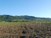 Hanul Moara Veche - alloggio in  Valea Buzaului (35)