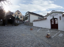 Pensiunea Bastion - accommodation in  Sighisoara (42)