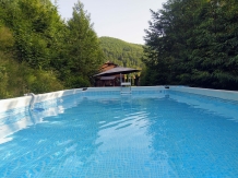 Cabana Susani - alloggio in  Apuseni, Valea Draganului (01)