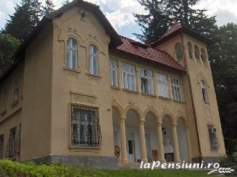 Cabana Susani - alloggio in  Apuseni, Valea Draganului (Attivit&agrave; e i dintorni)