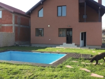 Villa Pity - accommodation in  Baile Felix (14)