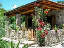 Casa Transilvania la Tara - cazare Fagaras (14)