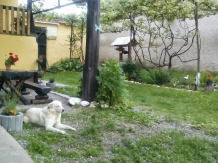 Casa Transilvania la Tara - cazare Fagaras (28)