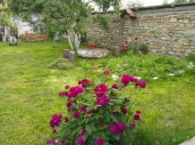 Casa Transilvania la Tara - cazare Fagaras (38)