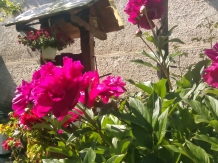 Casa Transilvania la Tara - cazare Fagaras (40)