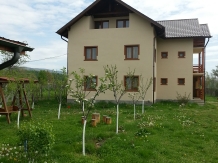 Casa de vacanta Macovei - accommodation in  North Oltenia (03)
