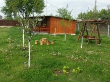 Casa de vacanta Macovei - accommodation in  North Oltenia (04)