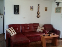 Casa de vacanta Macovei - accommodation in  North Oltenia (10)
